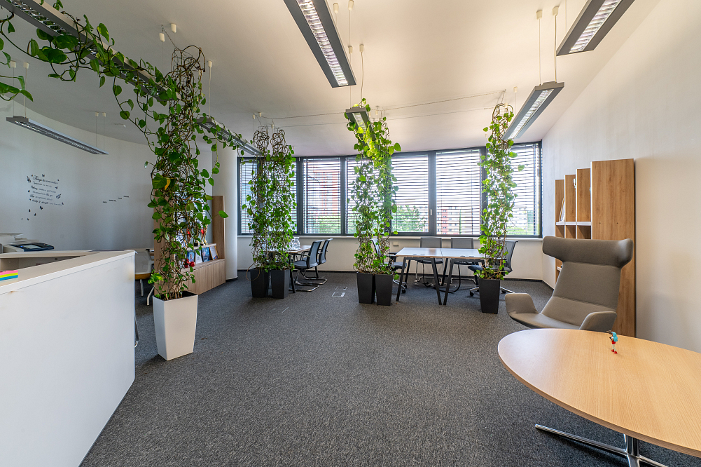 Röntgenova, Petržalka - Bratislava V | Rent, Office building, 2 104 m²