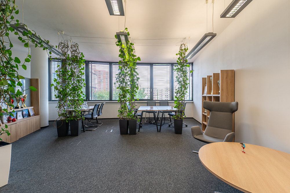Röntgenova, Petržalka - Bratislava V | Rent, Office building, 2 104 m²