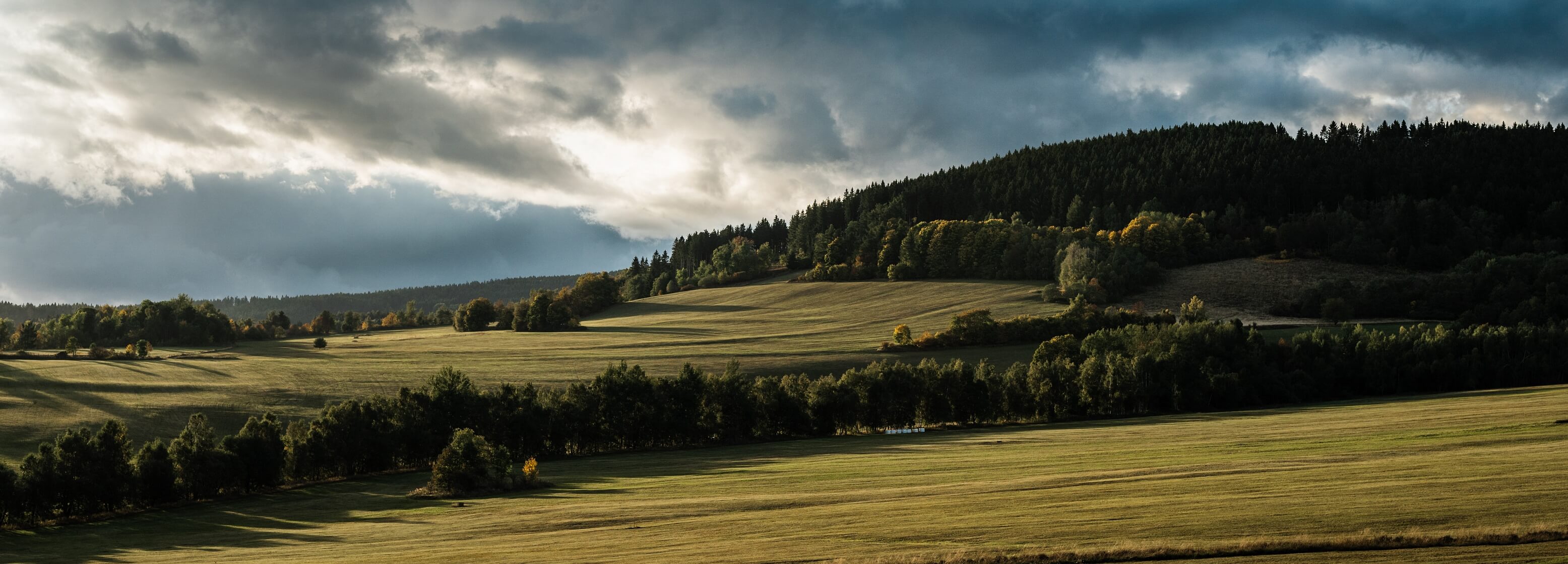 Predaj, Pozemky, Středočeský kraj, Praha-západ, Jílové u Prahy