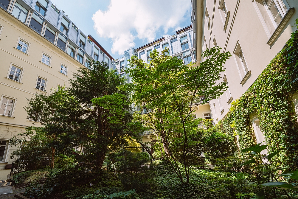 Gorkého, Staré Mesto - Bratislava I | Rent, Office space, 268 m²