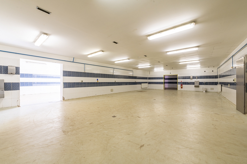 Detva - Vígľaš | Predaj, Skladové priestory, 13 061 m²